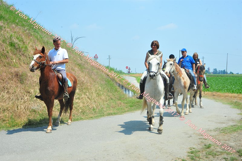 DSC_1058.JPG